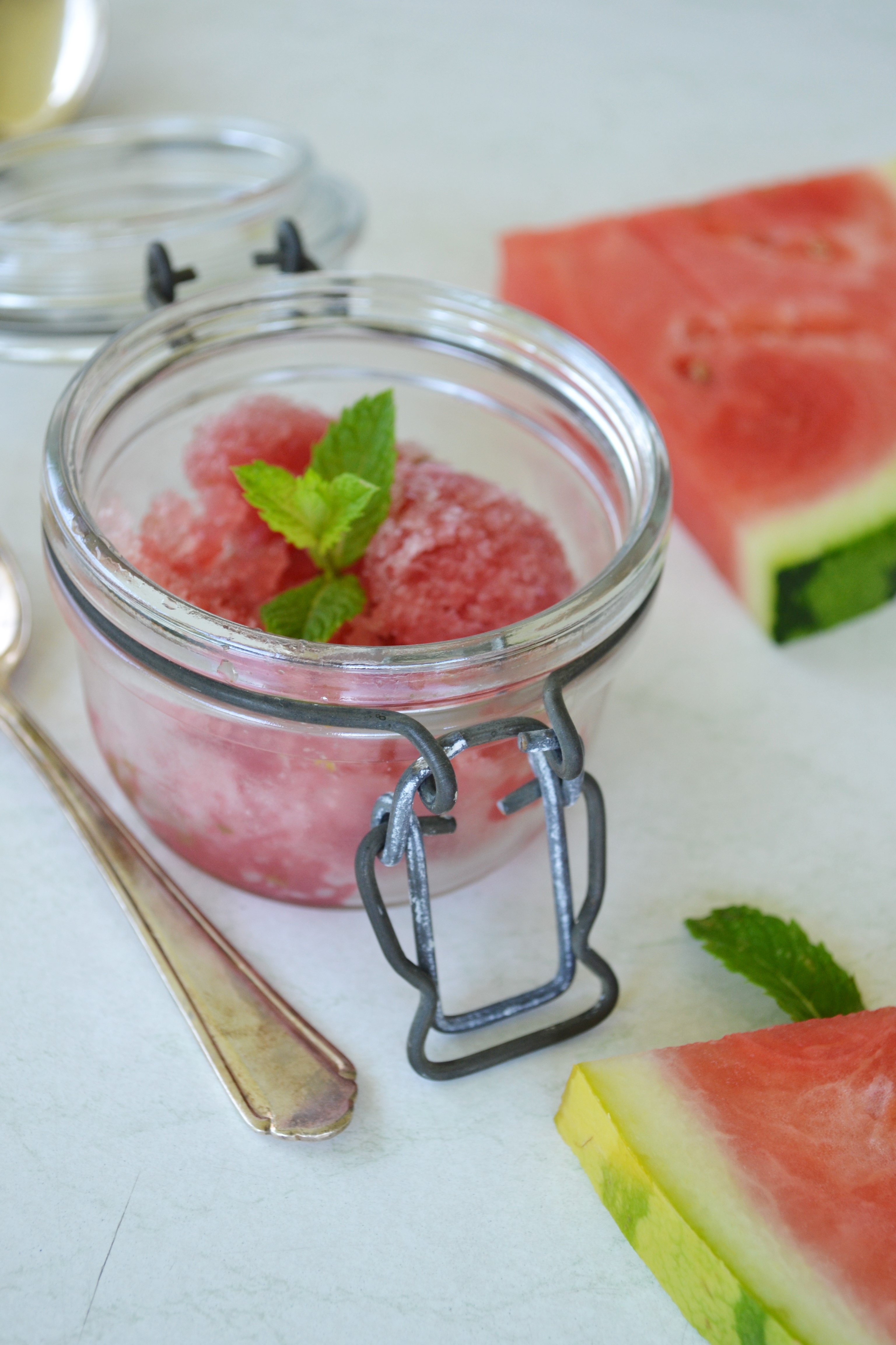 erfrischendes Wassermelonen-Sorbet mit Minze - blondieundbrownie.com